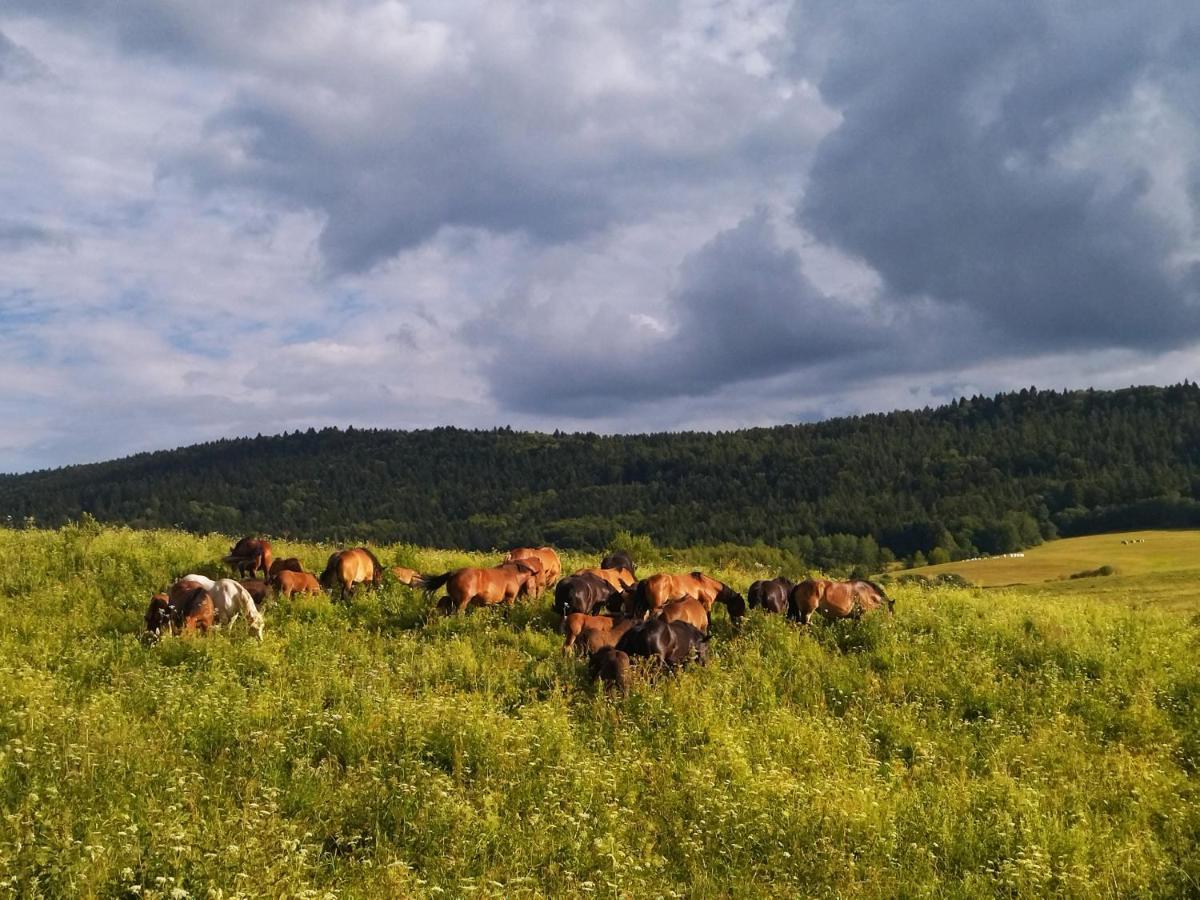 Pastelova Krova - Domki W Bieszczadach Ustrzyki Dolne Exterior foto
