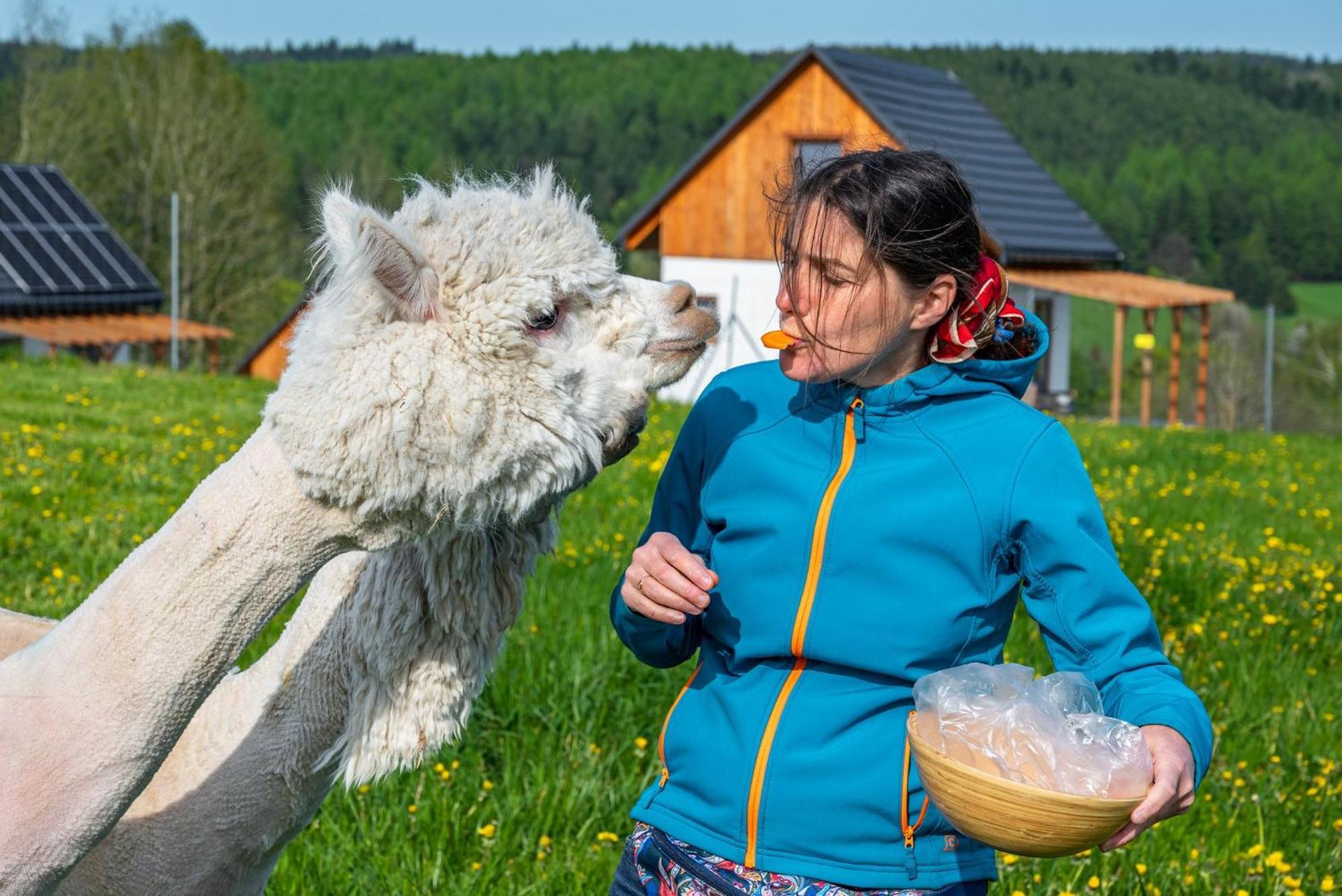 Pastelova Krova - Domki W Bieszczadach Ustrzyki Dolne Exterior foto