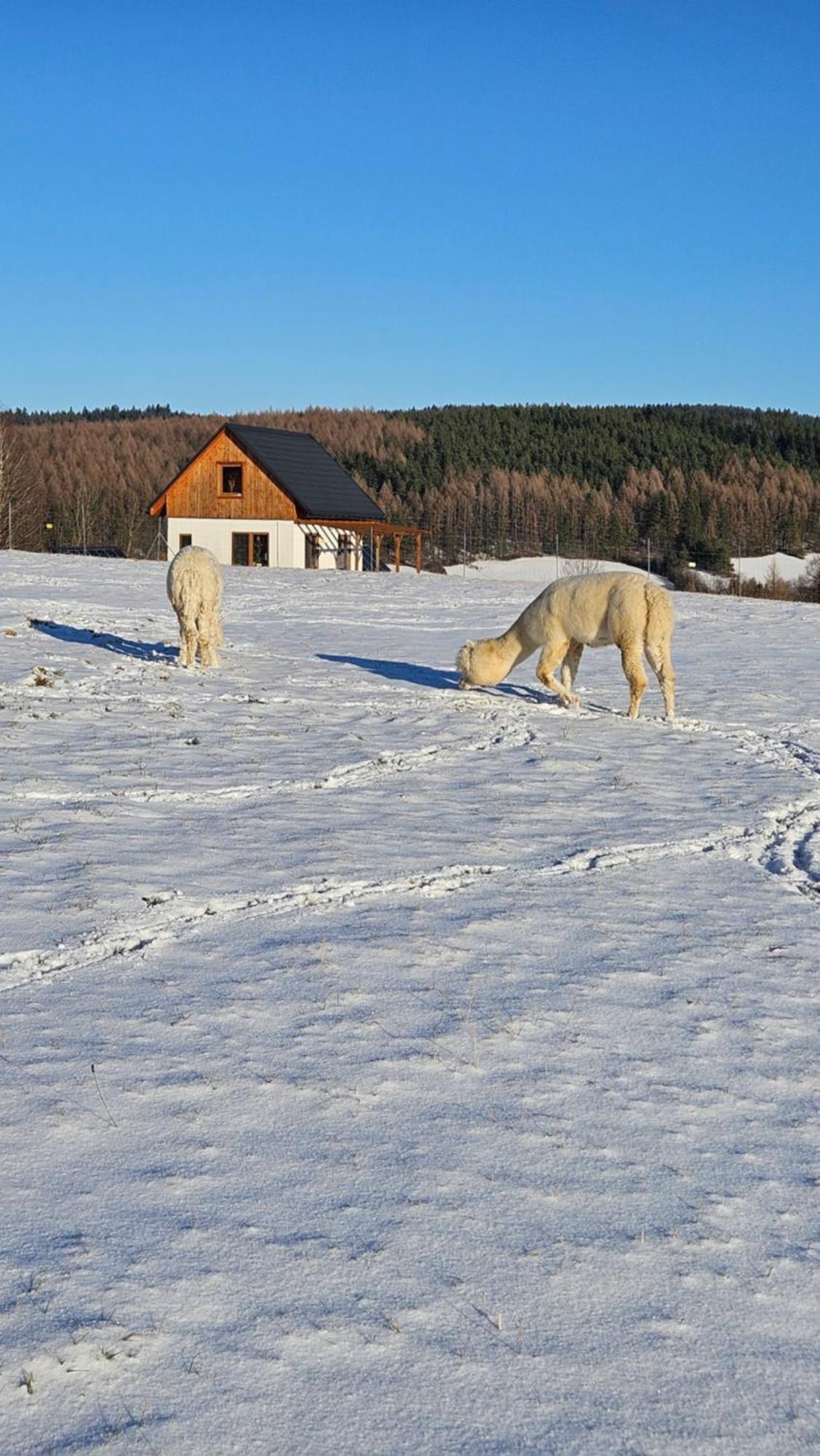 Pastelova Krova - Domki W Bieszczadach Ustrzyki Dolne Exterior foto