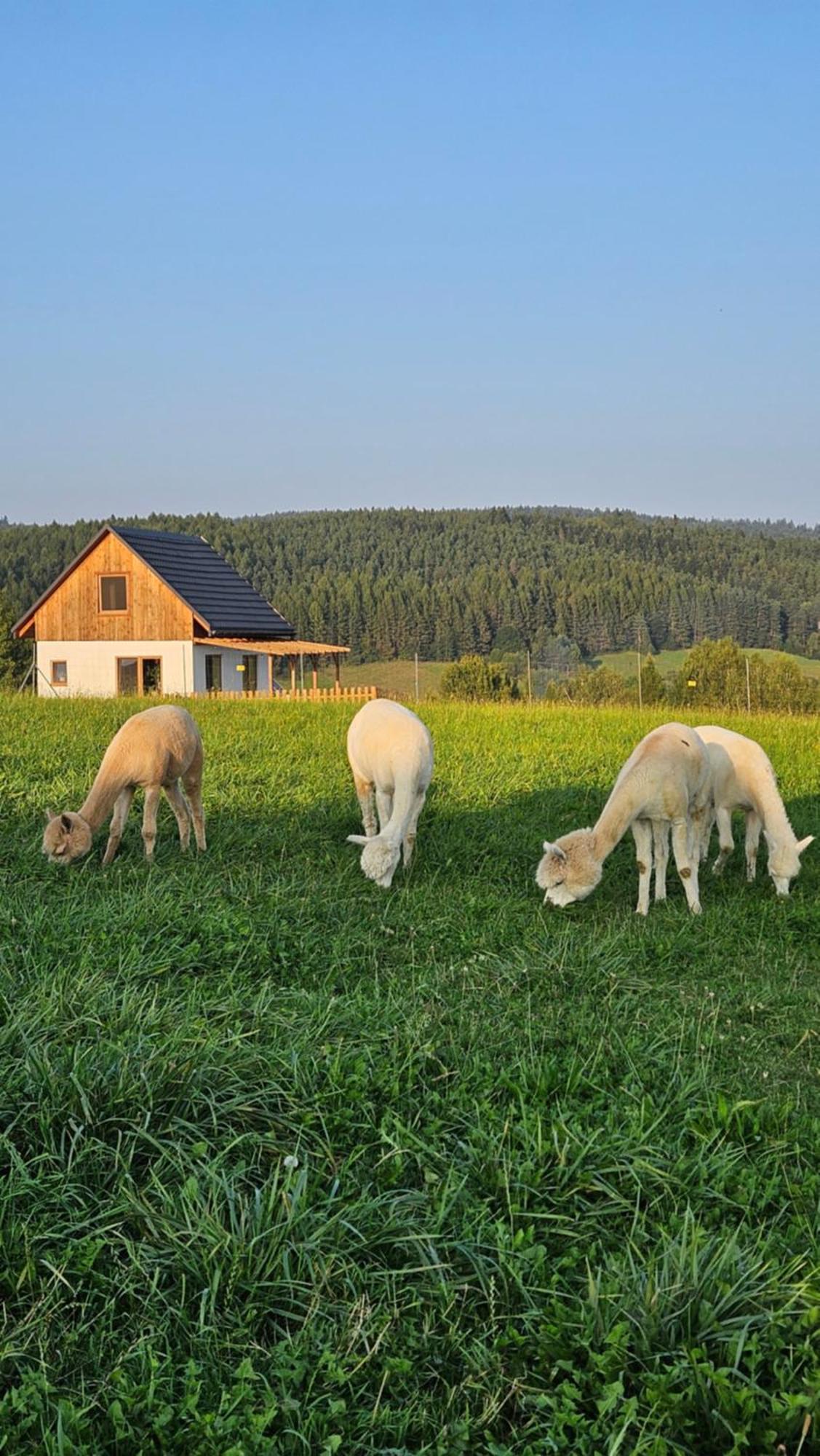 Pastelova Krova - Domki W Bieszczadach Ustrzyki Dolne Exterior foto
